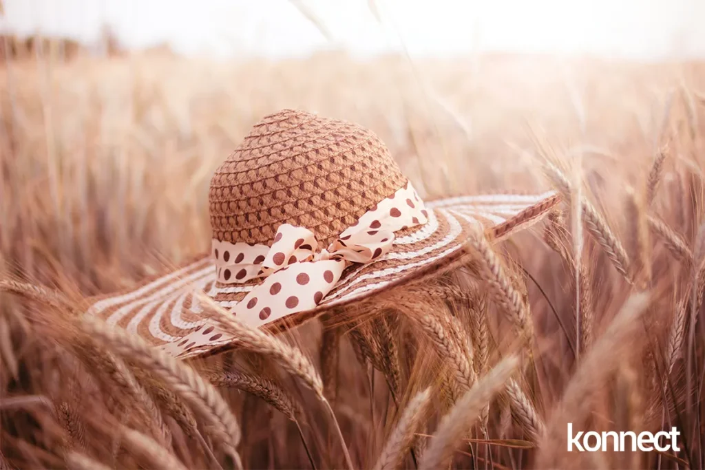 konnect.gr yield management 1