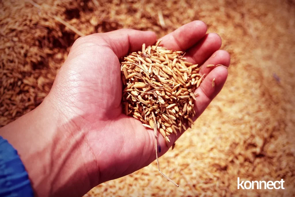 konnect.gr yield management 3